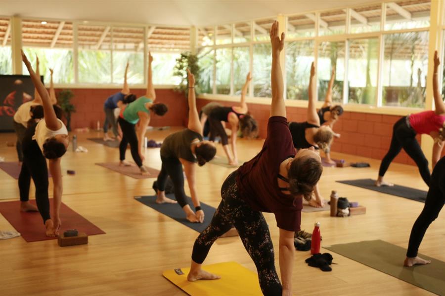 Hatha Yoga Teacher Training - June